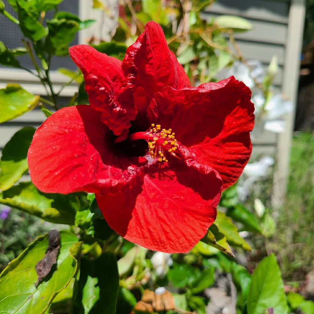 Meet your Posher, Casee